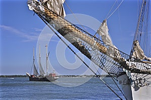 Sailboat (for rent and sale) moored to a pier in a yacht marina. The nautical vessel, transportation,