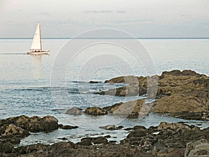 Sailboat and rocky coast Ogunquit Maine