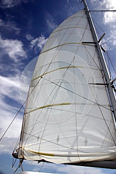 Sailboat Sail