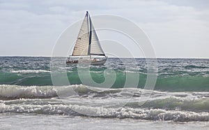 Sailboat Sailing the Aqua Waves