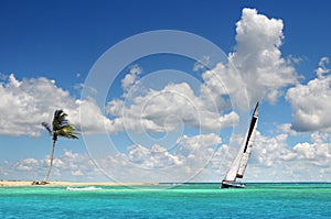 Sailboat Sailing on Tropical Seas