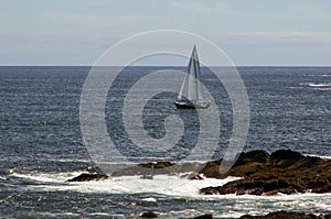 Sailboat sails close to rocks on atlantic ocean shore line