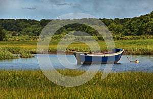 Sailboat in Salt Marsh photo