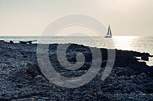 Sailboat on the sea during the nice evening sunset light, wood on the beach in the foreground