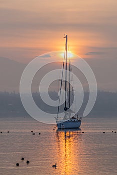 Barca a vela un alba 