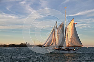 Sailboat on the sunset - Key West - Florida - USA