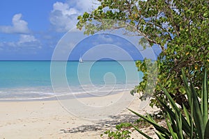 Sailboat on the Tranquil Caribbean Sea