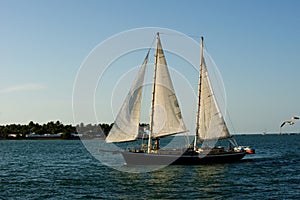 Sailboat under full sail