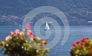 Sailboat with white sails in Lake Como, Italy