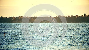 Sailboat with white sails on river in autumn