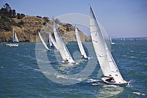 Sailboats