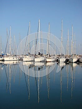 Sailboats photo