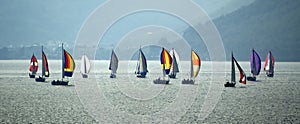 Sailboats