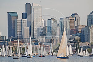 Sailboats against a Seattle skyline