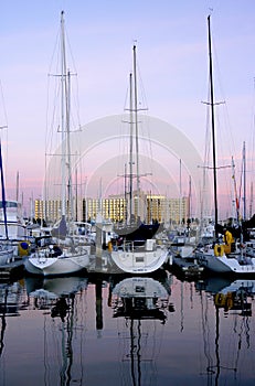 Sailboats all safe in the marina and at their docks in San Diego, California.