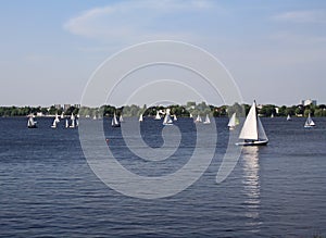 Sailboats at Alster lake