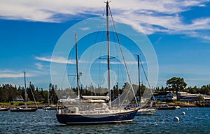 Sailboats at Anchor