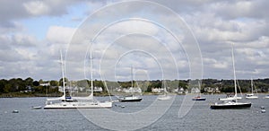 Sailboats anchored in a harbor