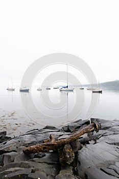 Sailboats anchored off the coast of New England Fog