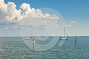 Sailboats Anchored in Tampa Bay, Florida photo