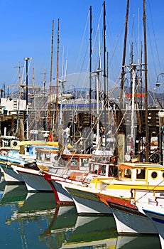 Sailboats in Bay