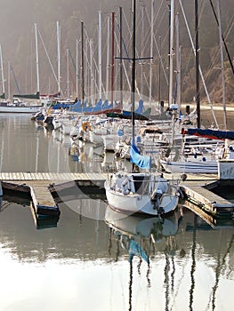 Sailboats in the Bay