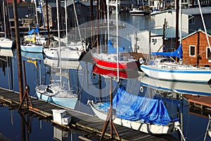 Sailboats in the bayou.