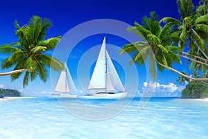 Sailboats Beach Palm Tree Summer Vacation Concept