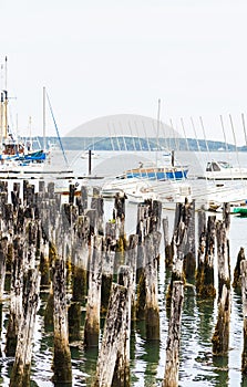 Sailboats Beyond old Wood Pilings