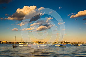 Sailboats in the Boston Inner Harbor, Boston Massachusetts.