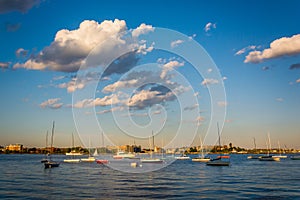 Sailboats in the Boston Inner Harbor, Boston Massachusetts.