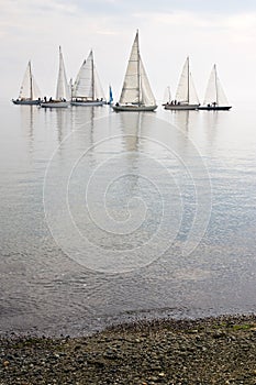 Sailboats in calm water photo
