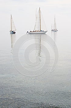 Sailboats calm water fog