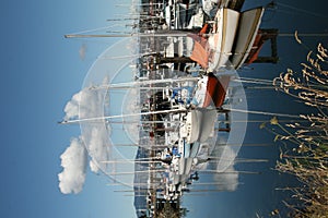 Sailboats at Campbell River photo