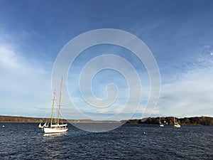 Sailboats, Connecticut harbor