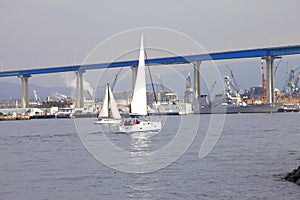 Sailboats & the Coronado bridge.