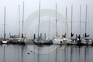 Sailboats at a Dock Foggy Day Lake