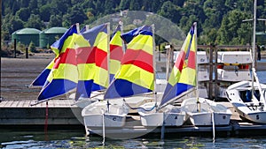 Sailboats at the dock with their sails blowing in the wind.