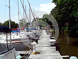 Sailboats docked