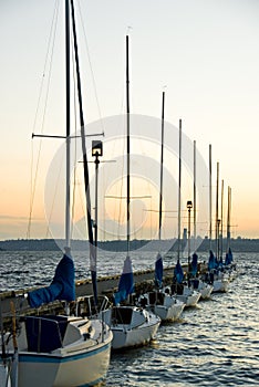 Sailboats docked at dusk