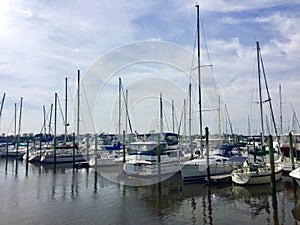 Sailboats docked in the harbor with blue sky background