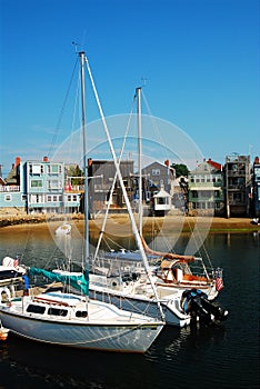 Sailboats docked in a harbor