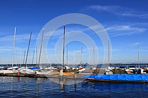 Sailboats docked in Lake Washington