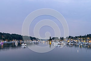 Sailboats docked at a marina in the puget sound