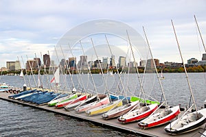 Sailboats docked. Regatta on the river. Buildings on other side