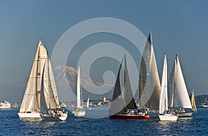 Sailboats in Elliot Bay photo