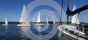 Sailboats floating in blue lake in summer.