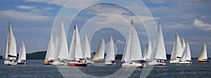 Sailboats floating in blue lake in summer.