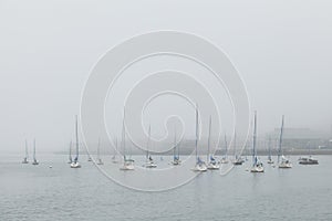 Sailboats on a foggy morning