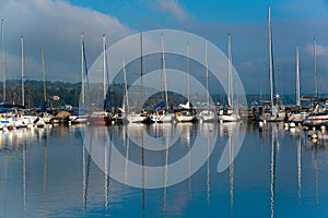 Sailboats in the Geneva harbor